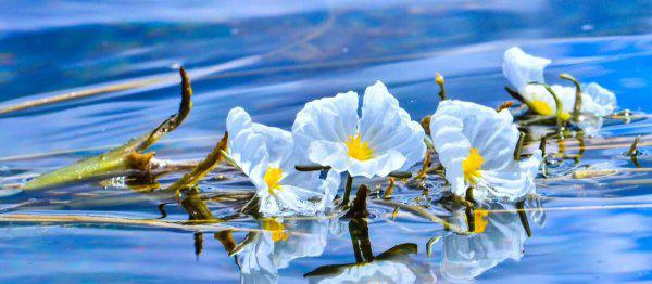 泸沽湖海拔高度多少米