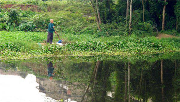 初夏钓鲫鱼钓深水还是浅水