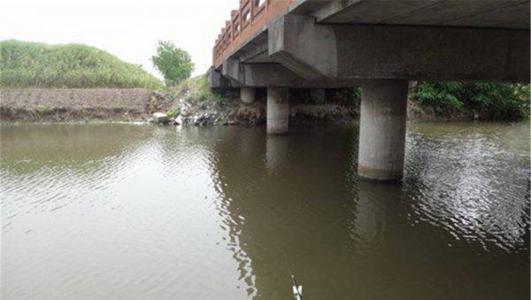 初夏钓鲫鱼钓深水还是浅水