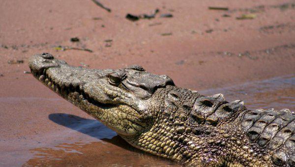 鄂是哪里的简称与由来