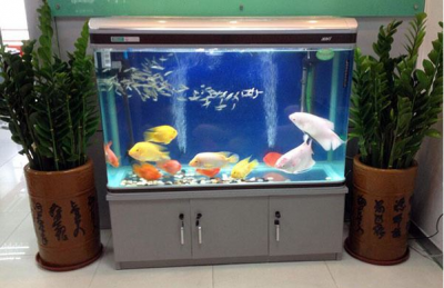 鱼缸正对入户门聚财还是漏财 客厅放鱼缸有什么讲究