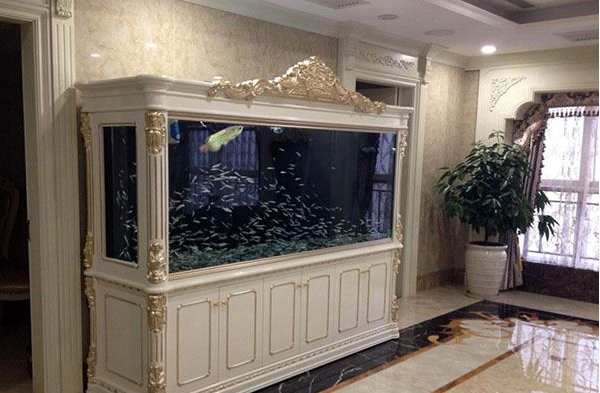 鱼缸正对入户门聚财还是漏财