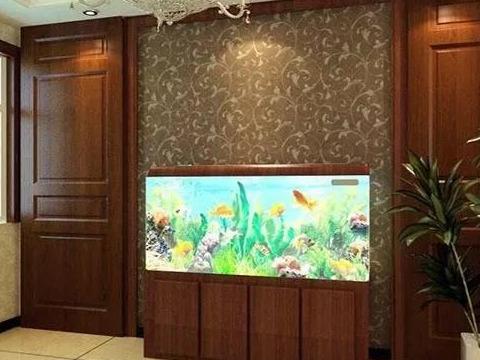 鱼缸正对入户门聚财还是漏财