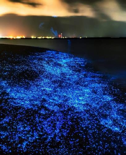 世界十大风景区介绍