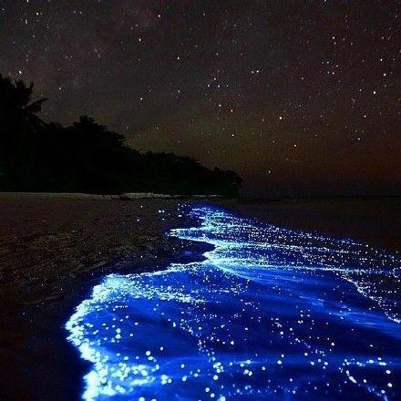 世界十大风景区介绍