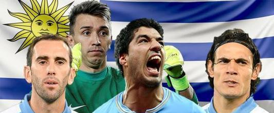 乌拉圭是哪个洲的国家