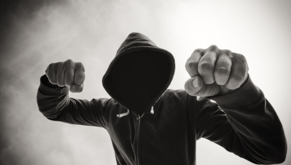 精分是什么意思