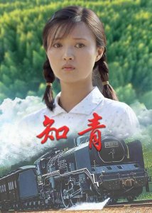 知青下乡经典电视剧 推荐10部有关知青的经典影视剧