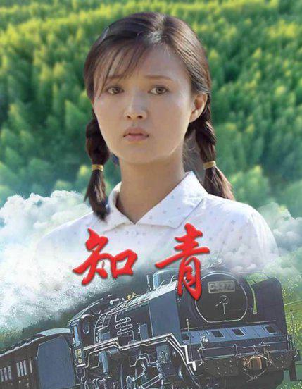 知青下乡经典电视剧