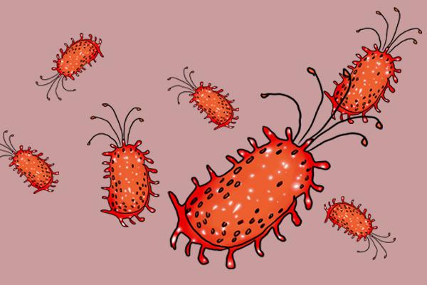 内裤穿多久要扔