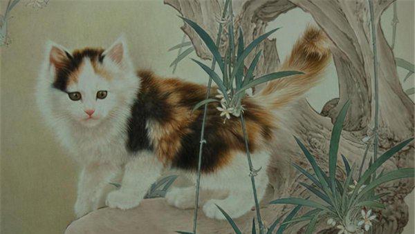 十二生肖里面为什么没有猫的故事