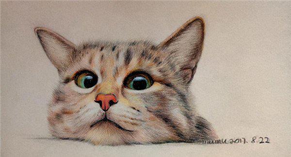 十二生肖里面为什么没有猫的故事