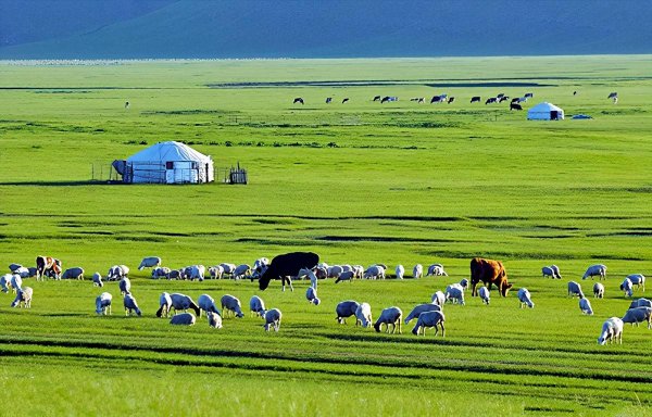 农校都有什么专业