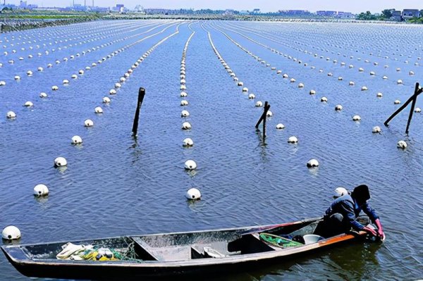 农校都有什么专业