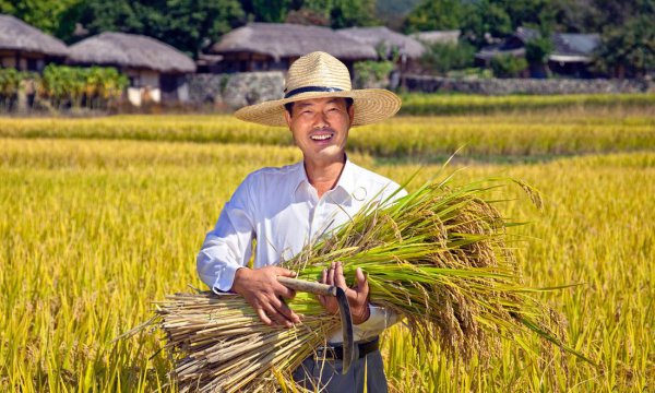 农校都有什么专业