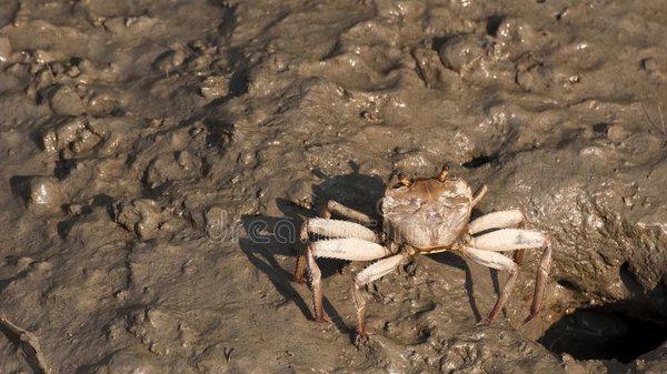 初三毕业适合男生学的专业