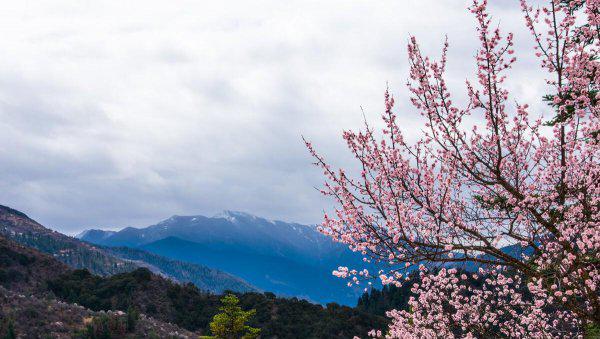 踏春是几月开始的