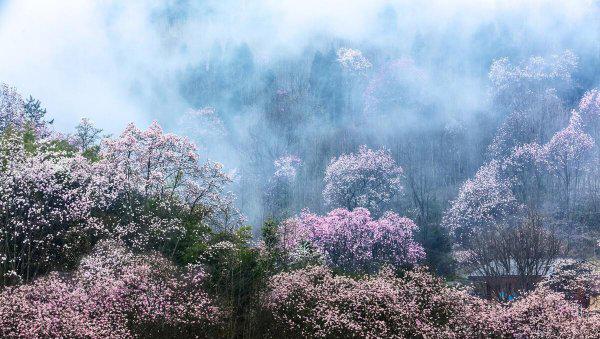 踏春是几月开始的