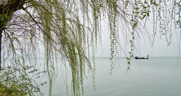 踏春是几月开始的