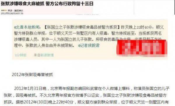 张国立的儿子个人资料简介