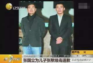 张国立的儿子个人资料简介