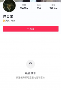 柳岩事件来龙去脉 回顾包贝尔婚礼伴娘门事件始末