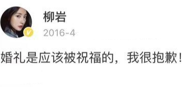 柳岩事件来龙去脉