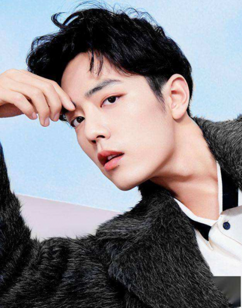 哪个男明星最帅受欢迎