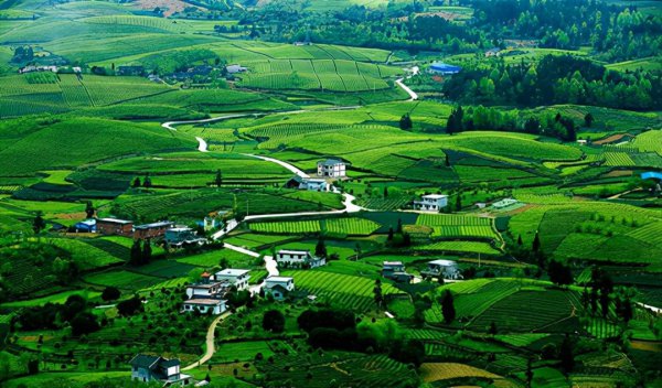 湄潭县属于贵州哪个市管辖