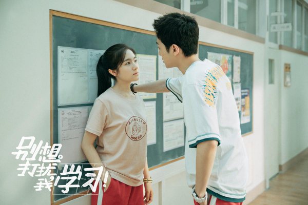 爆火的校园电视剧盘点