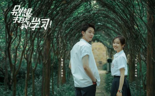 爆火的校园电视剧盘点