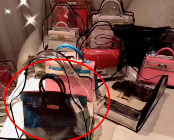 周扬青个人介绍资料