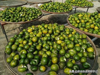 沙糖桔皮可以晒干做陈皮吗 陈皮是怎样制作而成的