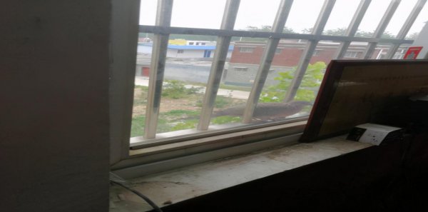 斑鸠在家做窝代表什么意思