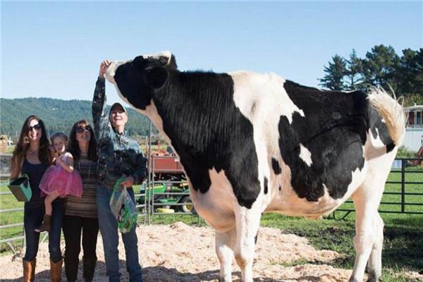 世界上变异动物有哪些