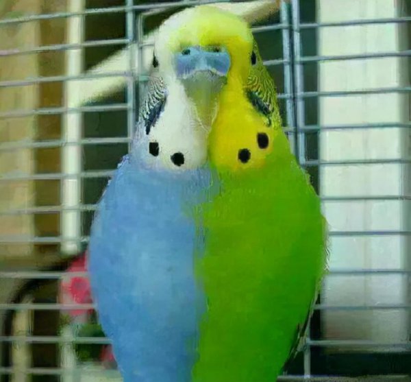 世界上变异动物有哪些