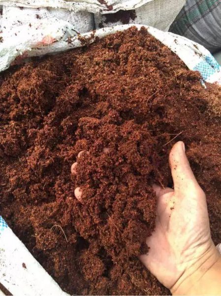 种多肉植物用什么土最好