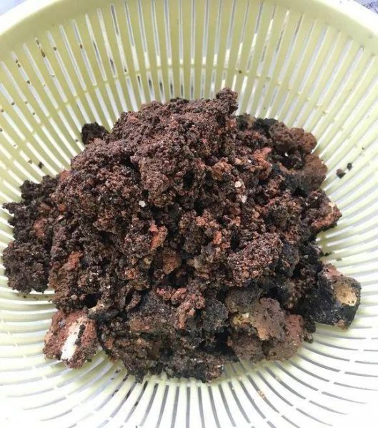 种多肉植物用什么土最好