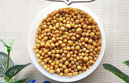 种多肉植物用什么土最好