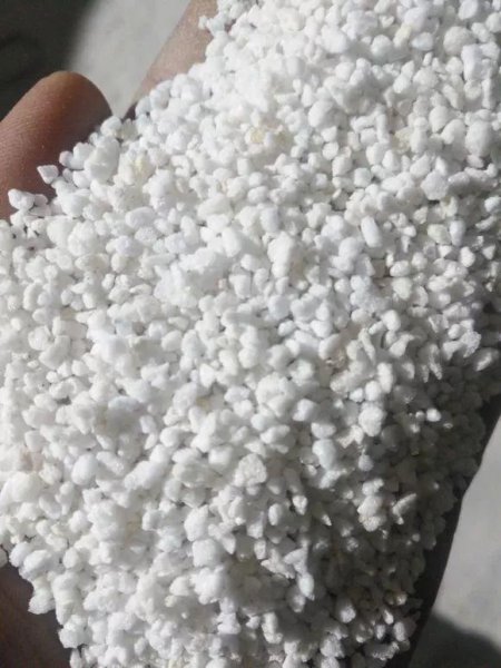 种多肉植物用什么土最好