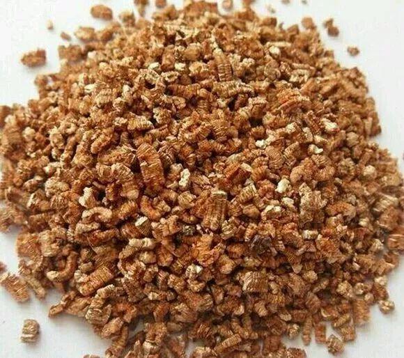 种多肉植物用什么土最好