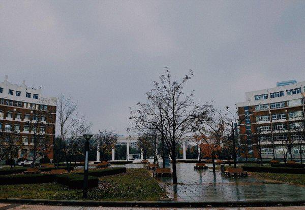 大连海事大学全国排名第几名