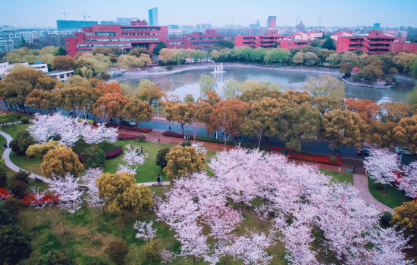 双一流大学厉害还是211厉害