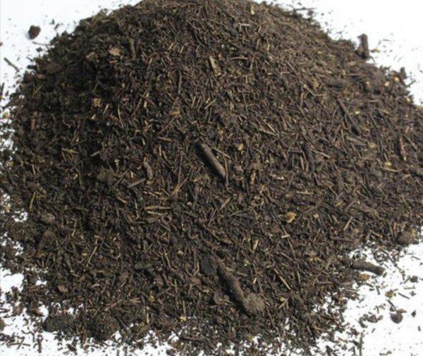 干松针可以直接拌土种花吗