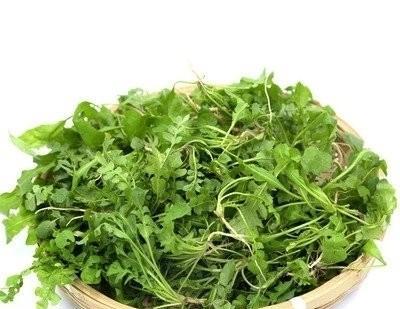 春分节气的特点和风俗禁忌