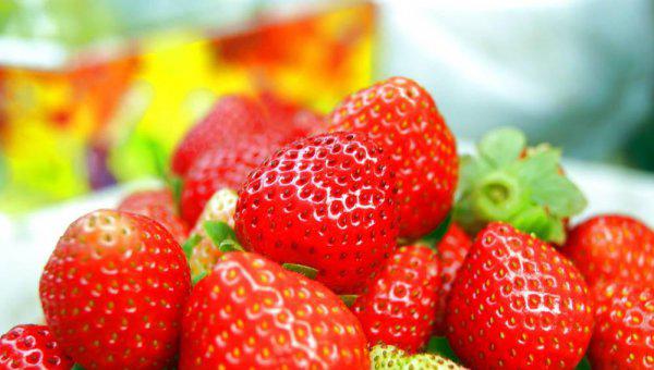 春分节气的特点和风俗禁忌