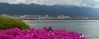 风花雪月指的是哪四个地方 风花雪月是大理的四种景观