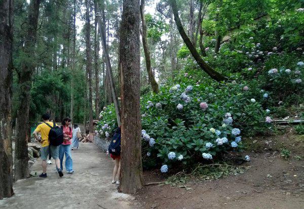 风花雪月指的是哪四个地方