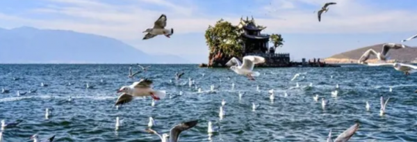 风花雪月指的是哪四个地方