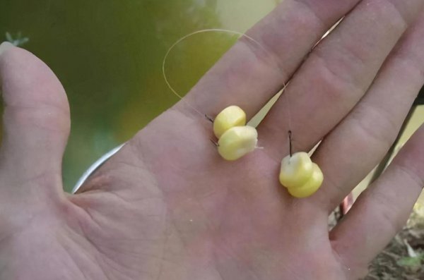 钓鱼什么时候提杆最好用